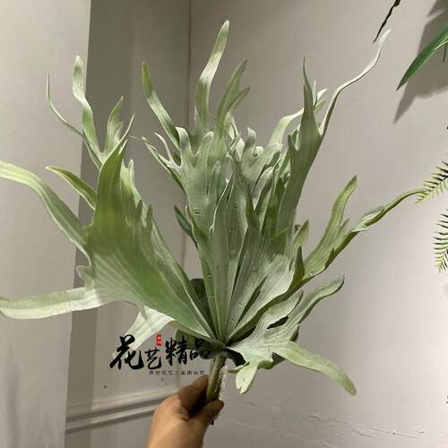 仿真扇葵叶芭蕉扇叶青苔草苔藓空气草垂吊田园摆放花艺墙尤加利