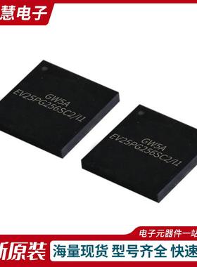 GW5A-EV25PG256SC2/I1一站式电子元器件BOM配单半导体集成电路IC