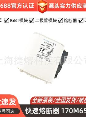 170M6544170M6546170M6548低压熔断器电子元器件库存充足