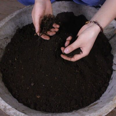 嘉兰专用土深山肥沃通用型晚香玉嘉兰百合有机花卉盆栽种菜土营养