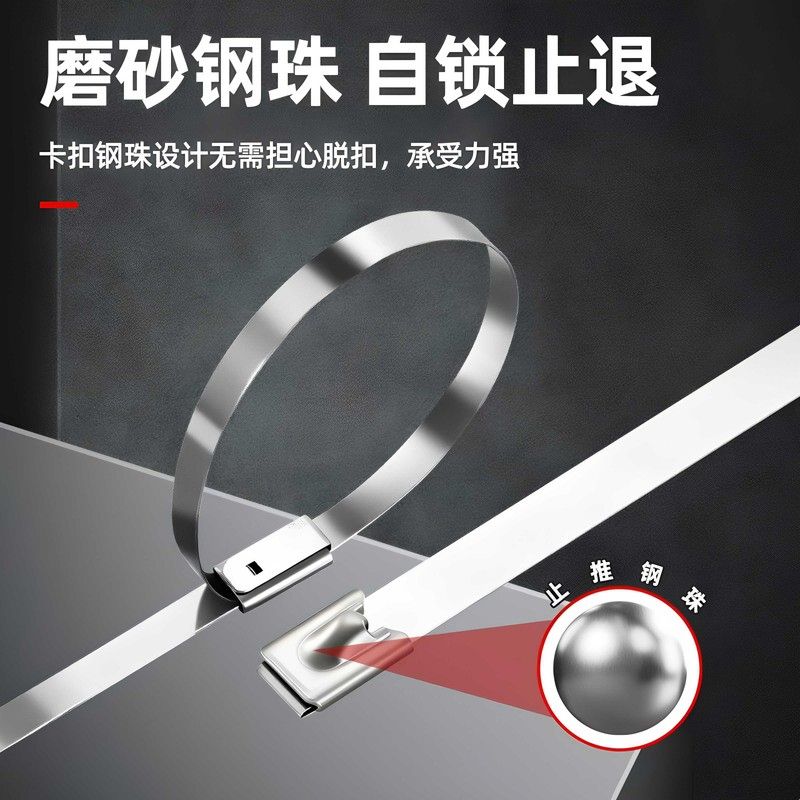 不锈钢扎带304扎丝金属卡扣强力固定器绑带可重复使用收紧器束带图片