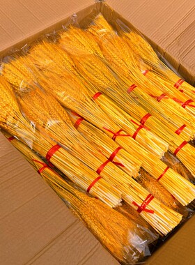 开业大麦黄色精品麦穗干花一箱100把一万支装花店花艺用品