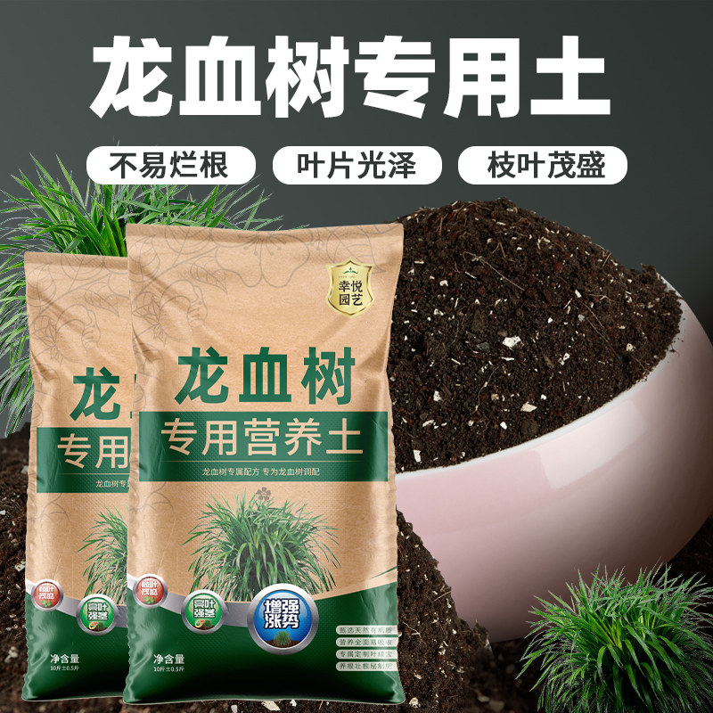 速发栽种龙血树专用土种龙须树营肥土蓬松泥土无菌土壤养用专料种