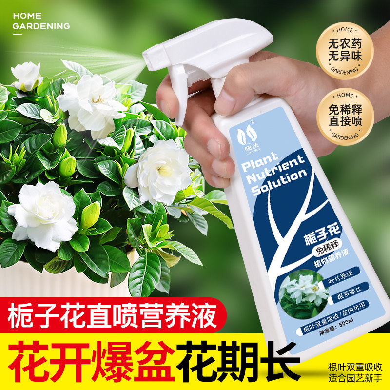 速发免栽释栀子花肥料专用肥营养液水培开花植酸养花专用盆稀物性