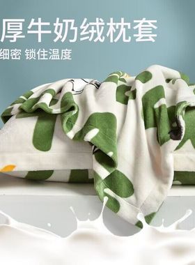 速发加厚珊奶绒枕套48x74mc一对装牛瑚绒枕头套单个法兰绒枕芯内