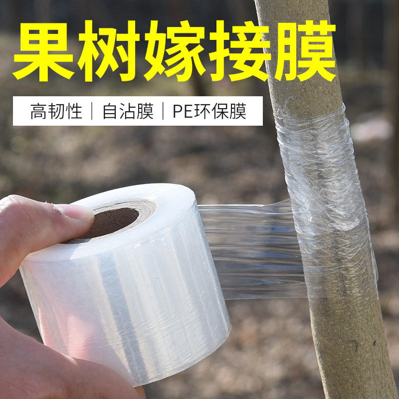 速发嫁接膜专用膜PE无需打结薄嫁自粘式园绕果树膜接胶带包扎带缠