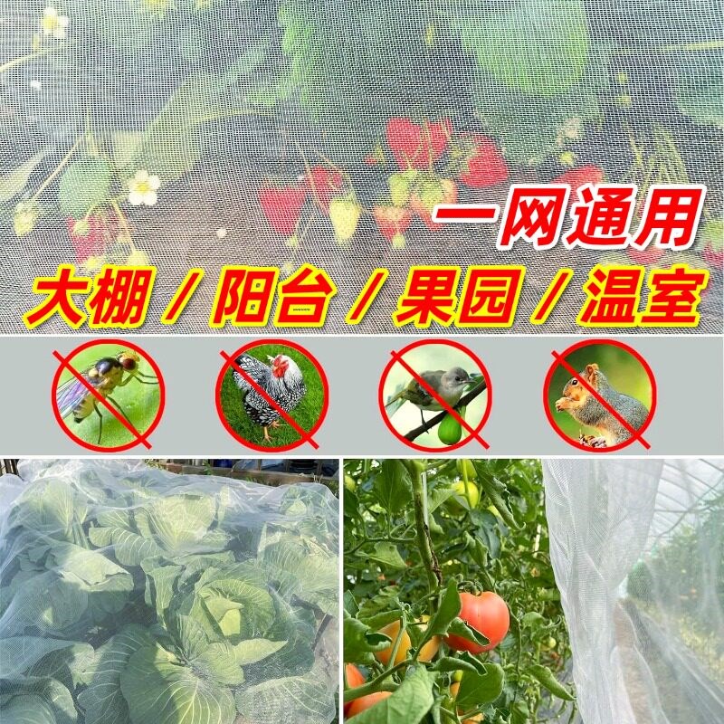 速发蔬菜专用防虫网60目支架蔬菜花卉网罩大棚专用罩菜地果树防虫