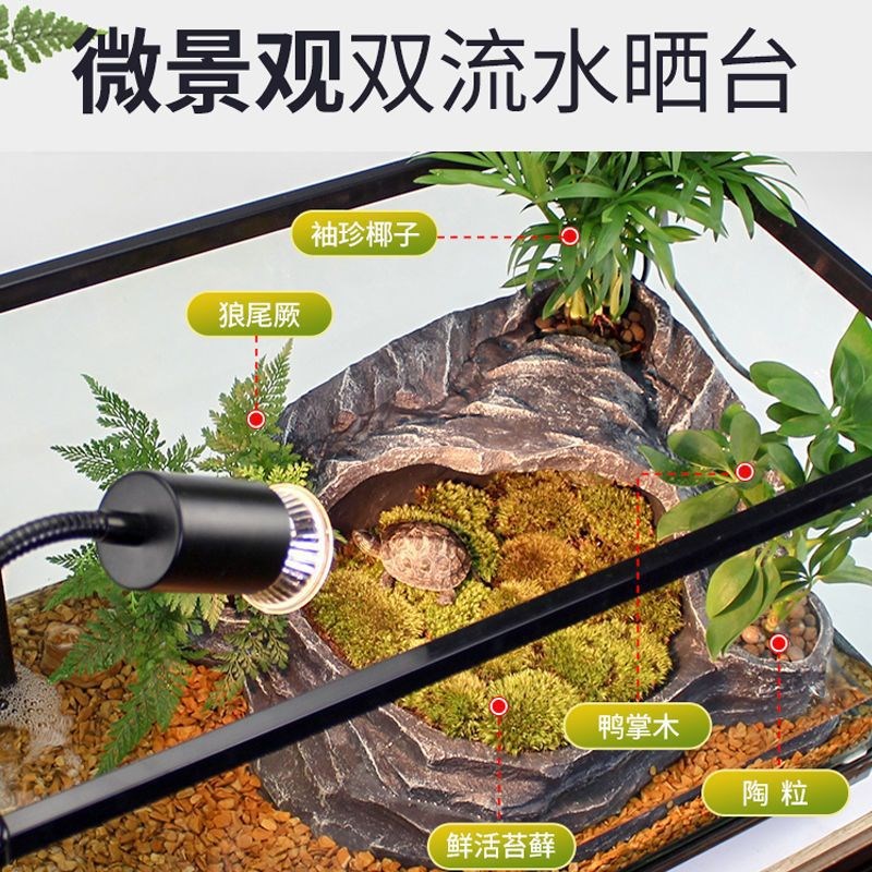 速发生态缸鱼龟玻璃乌龟小带台家用家养龟晒别墅饲养箱鱼缸造景
