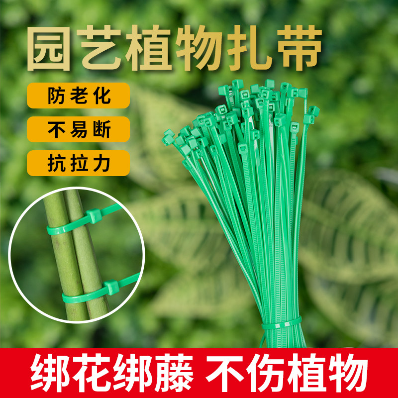 速发绿色园艺扎线定带塑料尼龙月季扎藤塑形植物迁引固爬绑花神器