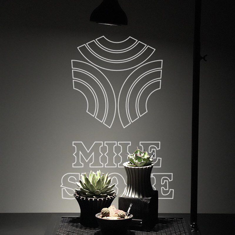 速发mil绿se 日甲块根植物龟式龙爬藤支架室内盆栽植物攀爬架e植