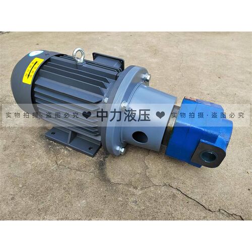 速发BB-B6/B100/B125JZ/BB-B40JZ/B50JZ 立卧摆线齿轮油泵组80V