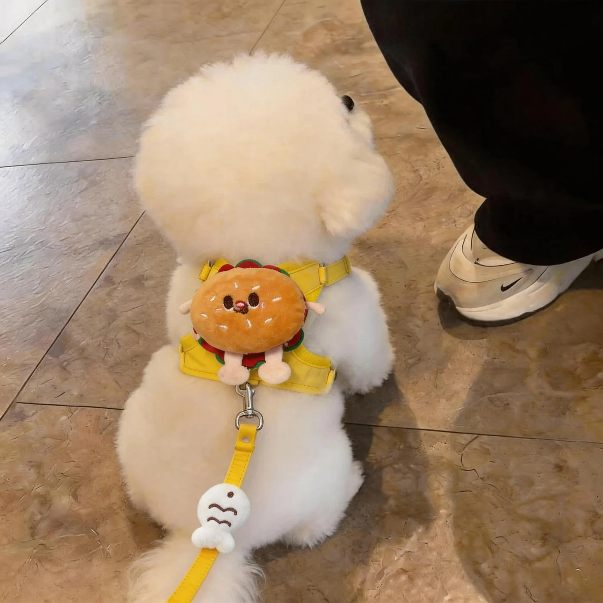 狗狗牵引绳背心式汉堡胸背带夏季
