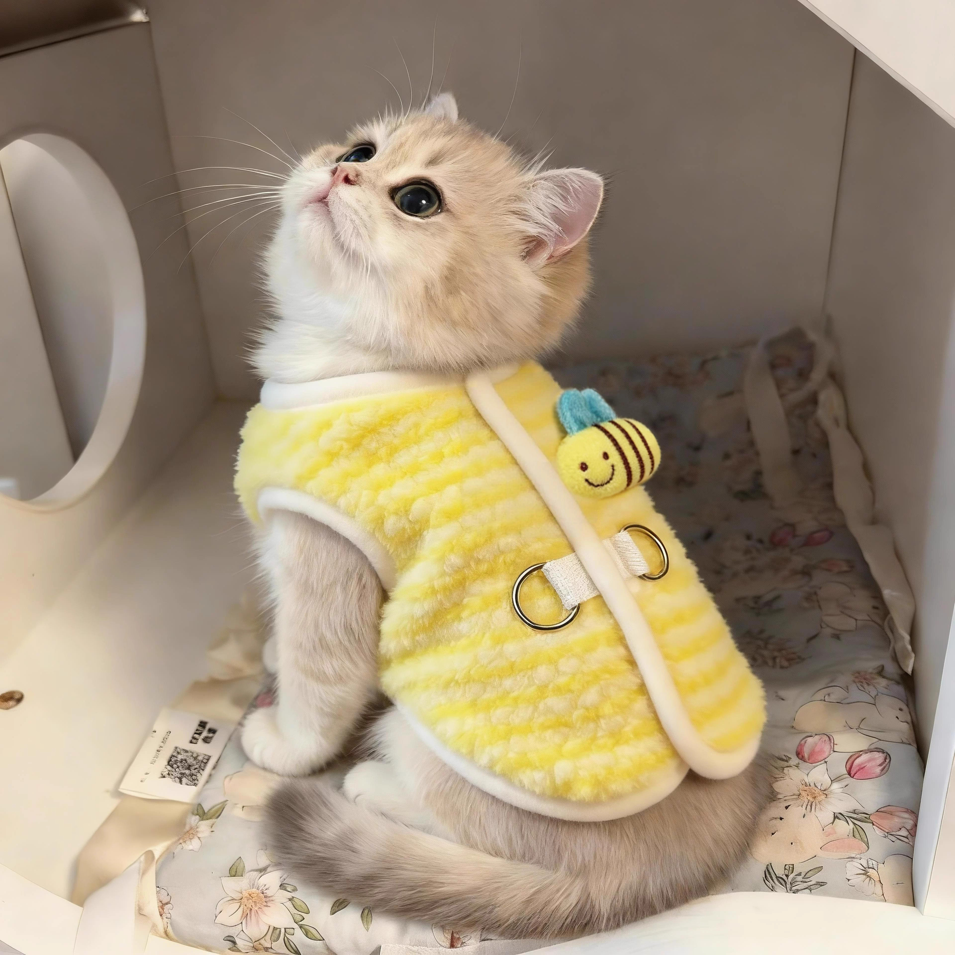 小猫咪衣服秋冬季可爱蜜蜂装可牵引开衫布偶保暖幼犬加绒加厚马甲,宠物/宠物食品及用品,猫宠物服装/雨衣（新）,淘宝优惠券,粉丝福利购,淘宝优惠卷