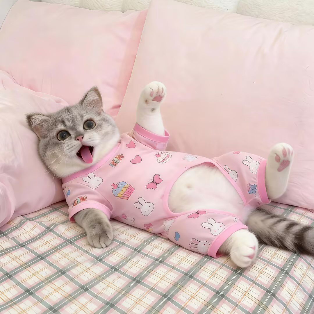 猫咪衣服夏天薄款四脚护肚衣透气
