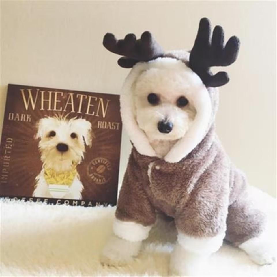 秋冬装宠物狗狗衣服小型犬泰迪加厚双层四脚衣猫咪衣服麋鹿变身装