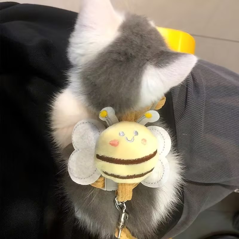 猫咪牵引绳防挣脱可调节外出遛猫绳子幼猫小猫户外专用小狗狗遛狗