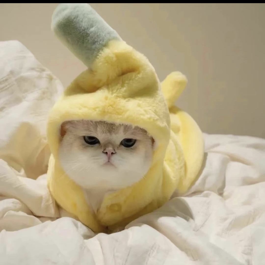 猫咪衣服可爱变身香蕉服装加绒保暖冬季加厚泰迪银渐层小型犬衣服
