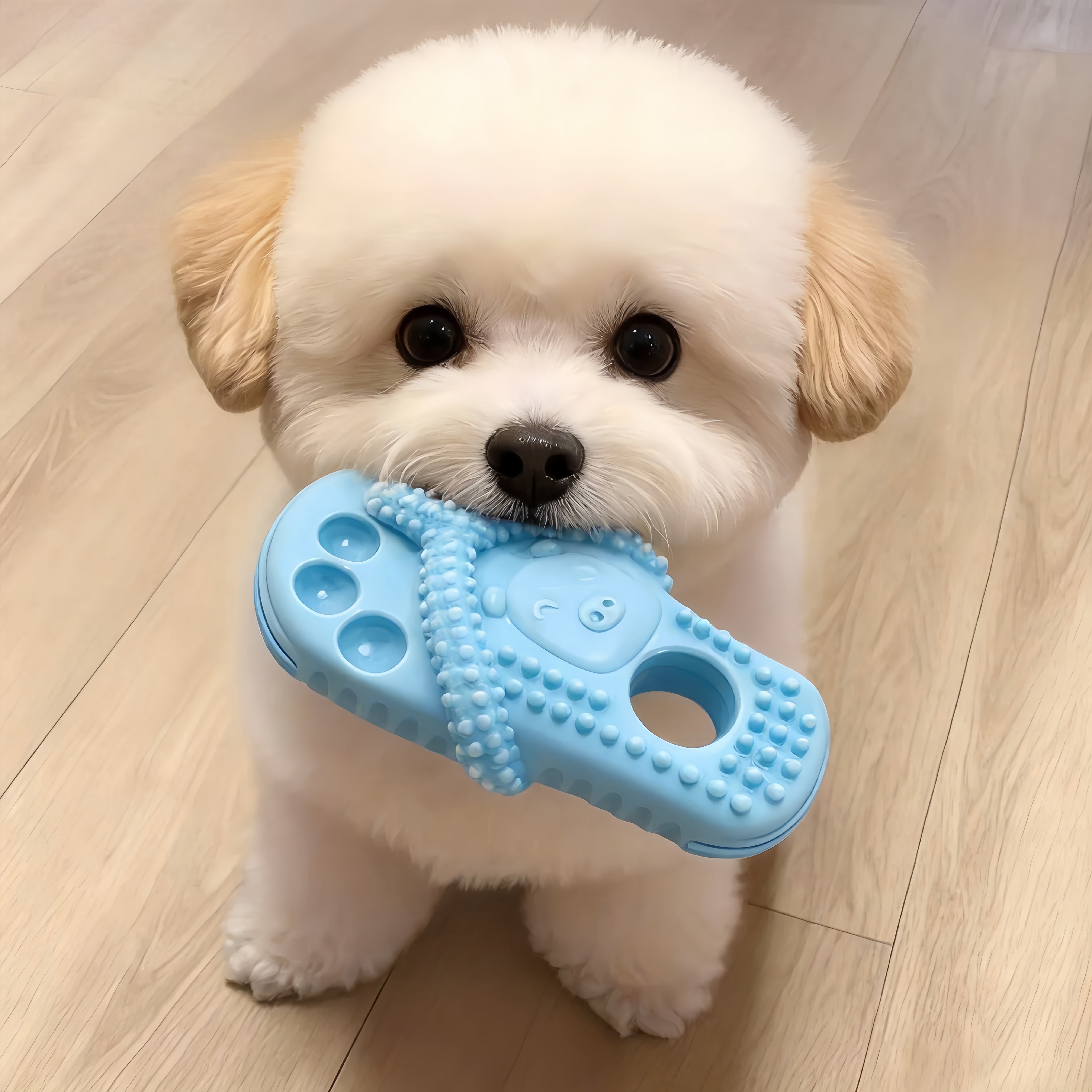 宠物狗狗玩具拖鞋耐咬磨牙洁齿自嗨解闷神器中大型小狗幼犬用品