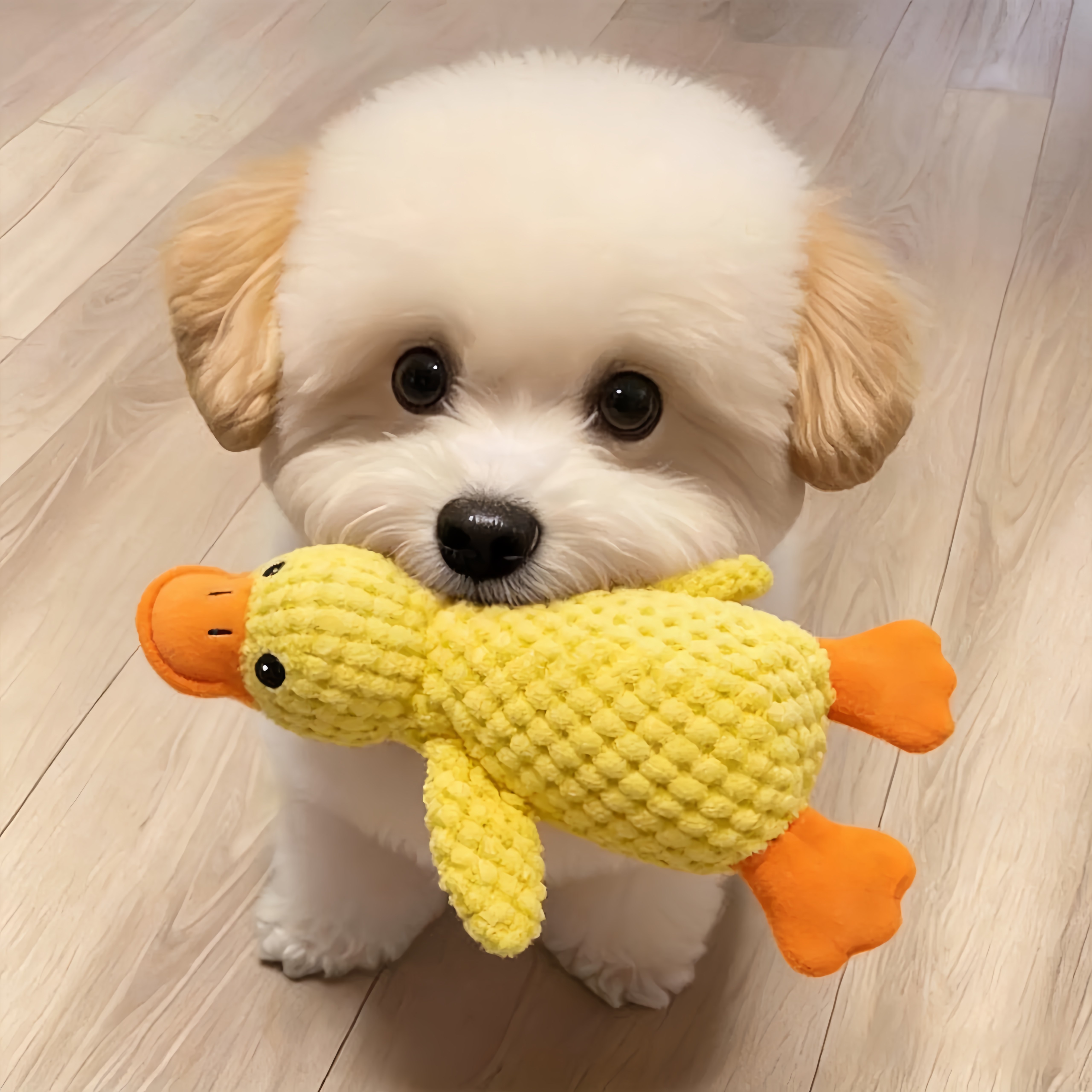 狗狗玩具解闷神器宠物小狗毛绒玩偶大狗自嗨发声磨牙耐咬狗狗用品