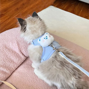 猫咪牵引绳防挣脱外出专用猫绳小奶猫溜猫神器宠物防丢胸背带链子