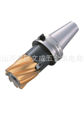 丸荣 SM壳形铣刀把 BT30/40/50-SM16/22/27/32/40/60-050/055/100