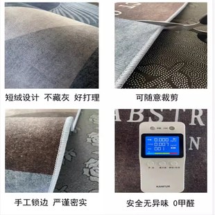 饰房间家用地垫整铺大面积飘窗垫子可机洗毯 侘寂风床边地毯卧室装