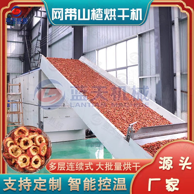 网带山楂烘干机 大型山楂片山楂圈干燥机 山楂去核切片烘烤生产线
