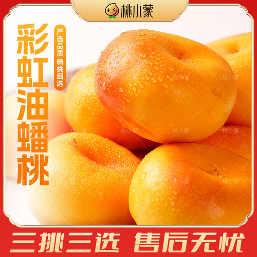 桃小蒙黄油蟠桃现摘新鲜桃子