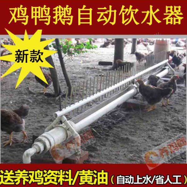 2023鸡用自动饮水器鸡鸭鹅家禽养鸡设备喂水食槽喝水神器养鸡设备