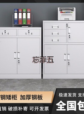 PCGS办公室铁皮柜文件柜矮柜带抽屉家用工具柜储物柜收纳资料柜档