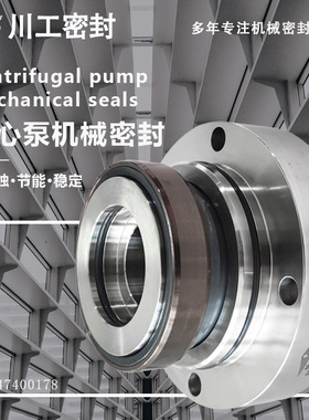 循环泵用机械密封 LC40/250\LC-B65/250T 机械密封内冲洗