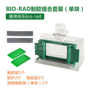 Western制胶架 伯乐1653303制胶架 电泳制胶单块胶套 RAD 通用BIO