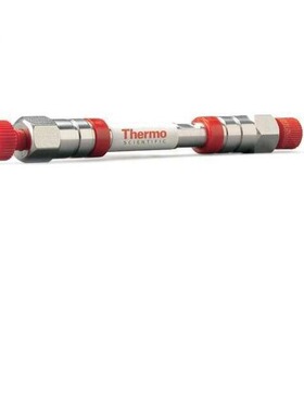 28105-104630赛默飞BDS C18 色谱柱分析柱5μm4.6*100mm