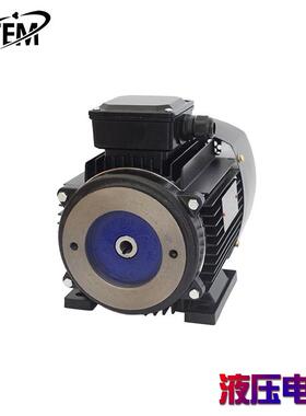 供应VP20油泵电机液压电机1马力油压内轴电机0.75KW铝外壳