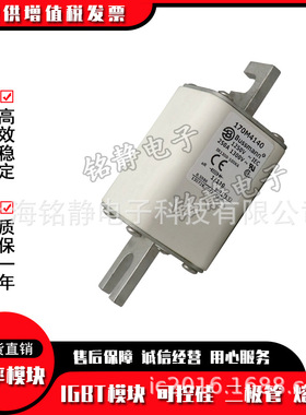 170M4008 170M4009 170M4010 170M4011巴斯曼熔断器保险丝现货