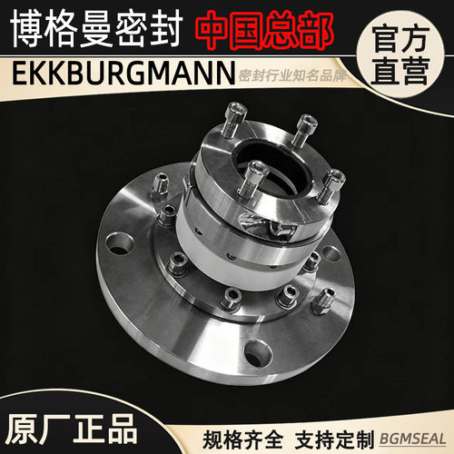 搅拌器密封圈EKKBURGMANN搪瓷