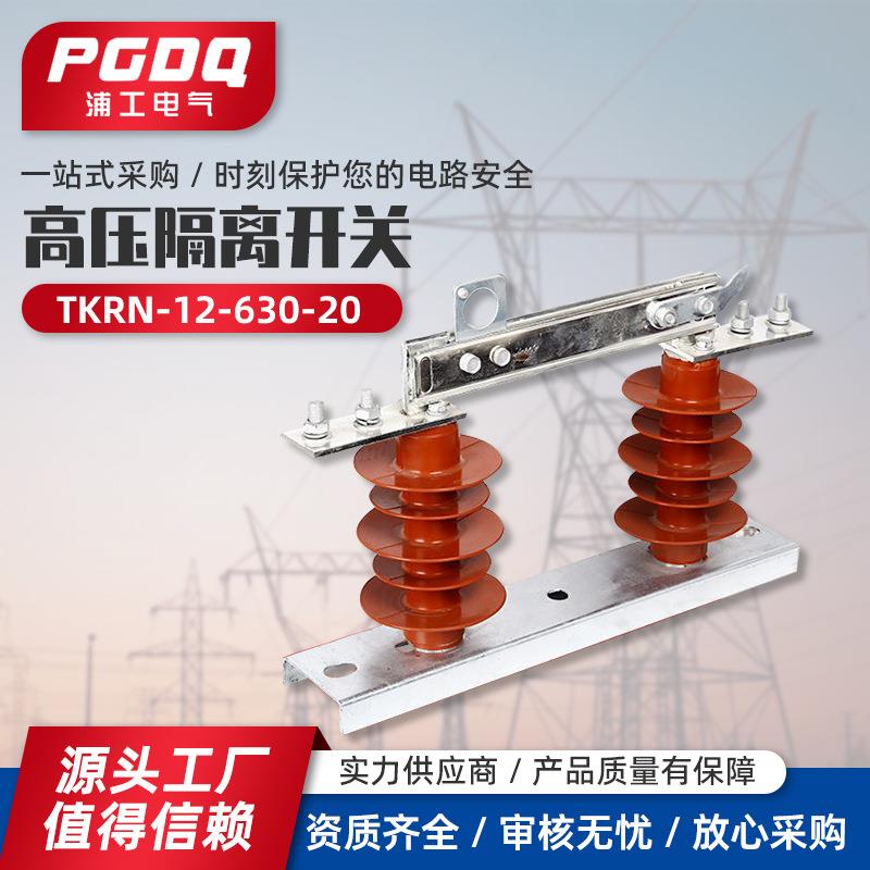 TKRN-12/630-20高压隔离开关复合硅胶隔离开关10KV户外柱上高压