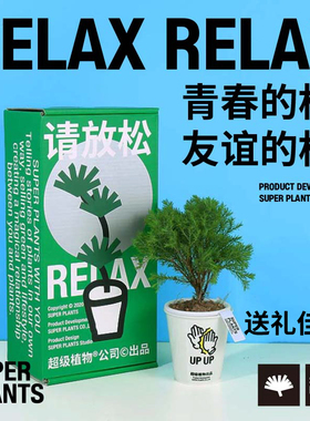 超级植物请放松雾松南洋杉放青松绿植养护桌面盆栽创意生日礼物