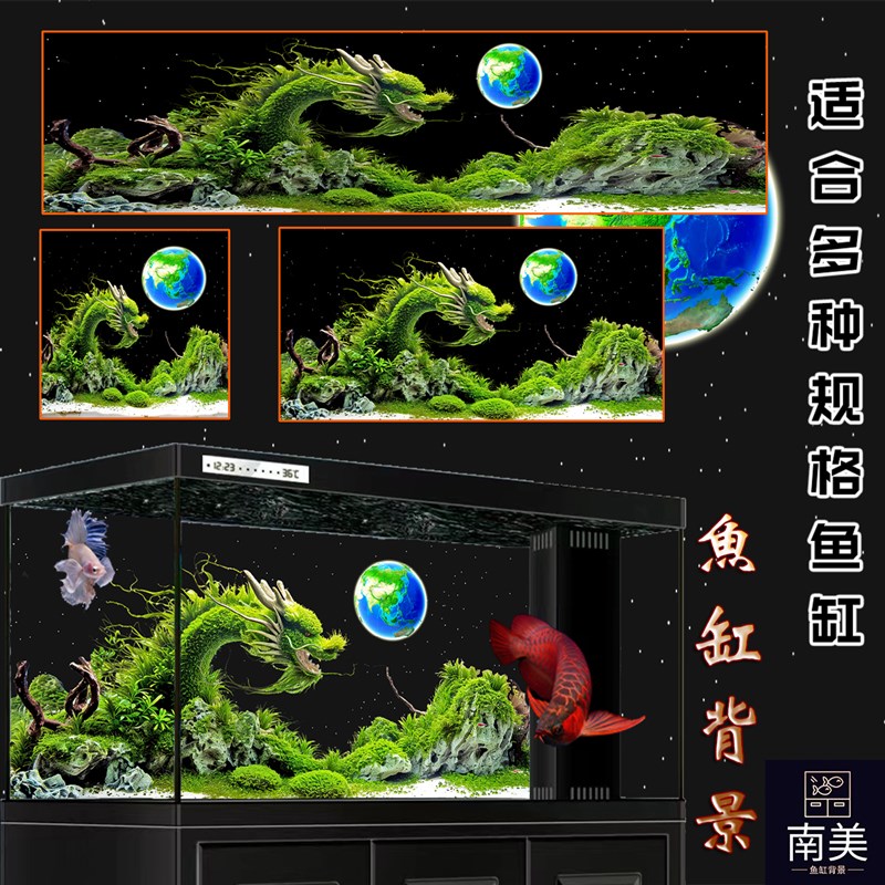鱼缸背景贴纸高清图3D立体背景画龙鱼水族箱造景水草龙风生水起