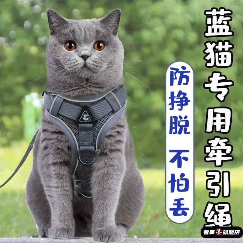 蓝猫牵引绳背心胸背可调节英短蓝白猫遛猫绳子防挣脱专用外出链子
