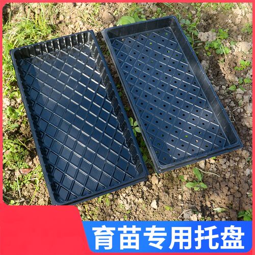 育苗托盘穴盘种植神器q营养钵培育盘种植盘扦插盘托盘盆养殖平盘