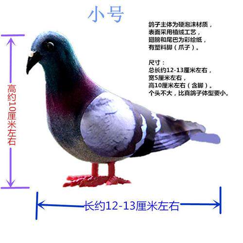 速发小鸽子灰鸽子仿真鸽子广场鸽摆件野鸽子斑鸠室内园林装饰品
