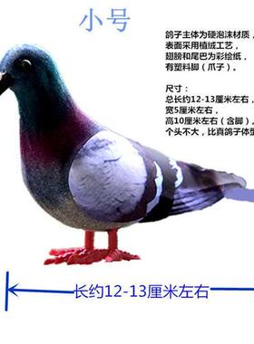 速发小鸽子灰鸽子仿真鸽子广场鸽摆件野鸽子斑鸠室内园林装饰品
