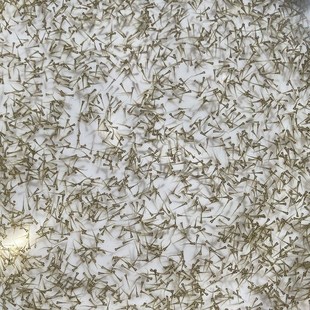 现货速发江鮰鱼苗团鱼水花苗肥沱肥王鱼淮王鱼清江鱼钳鱼苗淡水养