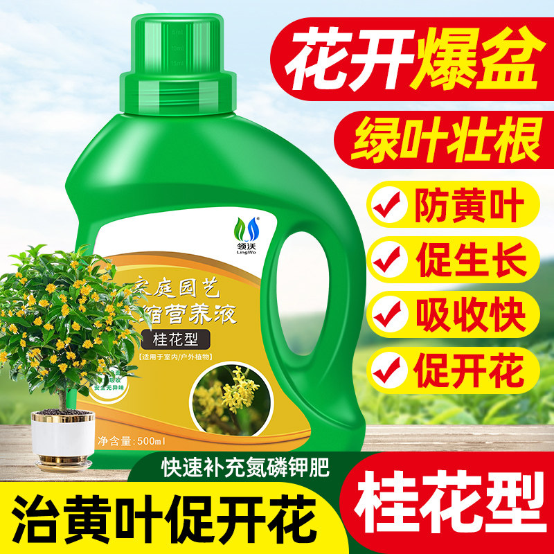 速发营树液桂花养肥桂肥家用盆栽植物金桂银桂四季料花通用肥