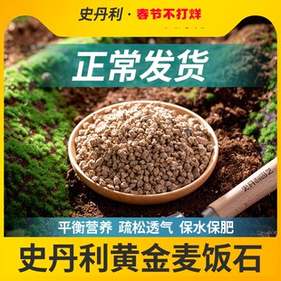 速发史丹拌黄植软麦饭石颗粒铺面多肉养花绿金通用土壤盆栽利土石