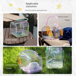 适用于鹦鹉d背包新型通风透气透明便携出笼虎皮宣风