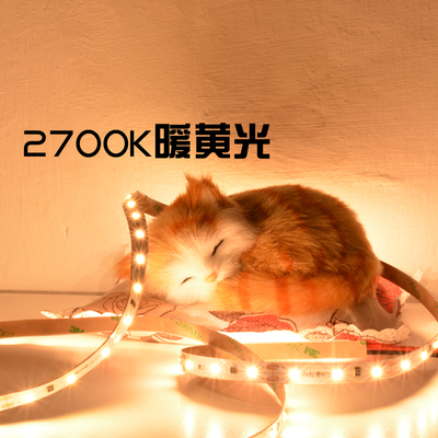 Ra98高显色护眼灯带 无主灯线形灯光源 宿舍DIY神器 3U500K4500K