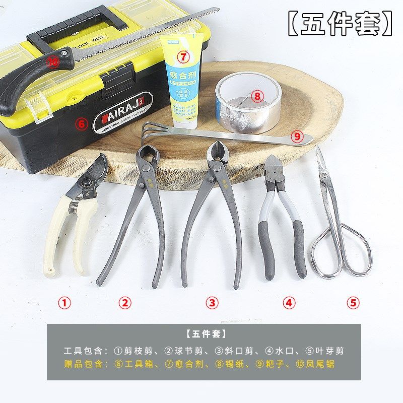 球节剪盆景修g剪造型专用工具大全叶芽球形型剪刀不锈钢修枝钳套,鲜花速递/花卉仿真/绿植园艺,剪刀,淘宝优惠券,粉丝福利购,淘宝优惠卷