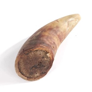 狗狗零食风干牛角磨牙棒含u牛骨髓补钙磨牙洁齿不伤肠胃训练专用